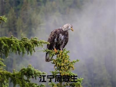 江宁周敬生(江宁周敬生)在线阅读无弹窗大结局-江宁周敬生小说最新章节阅读_笔趣阁（江宁周敬生）