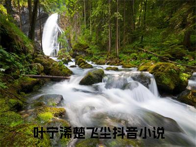 叶宁浠楚飞尘小说(叶宁浠楚飞尘)全文免费阅读无弹窗大结局 叶宁浠楚飞尘小说全文无删减版