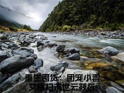 重生囤货：团宠小毒女横扫末世云筱筱小说（重生囤货：团宠小毒女横扫末世云筱筱）无弹窗大结局- 重生囤货：团宠小毒女横扫末世云筱筱全文阅读