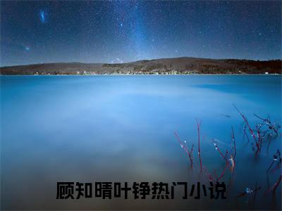 顾知晴叶铮最新章节（顾知晴叶铮免费阅读）-顾知晴叶铮小说在线阅读完整版