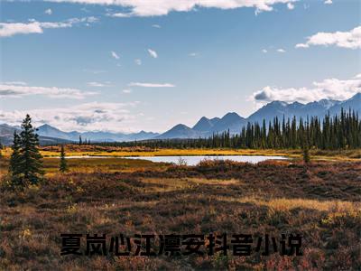 夏岚心江凛安（夏岚心江凛安）抖音热推小说全集无删减，夏岚心江凛安完整章节阅读