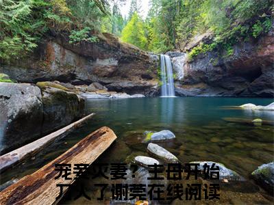 宠妾灭妻？主母开始刀人了谢莞小说免费阅读全文在线阅读，宠妾灭妻？主母开始刀人了谢莞的小说在线阅读全文