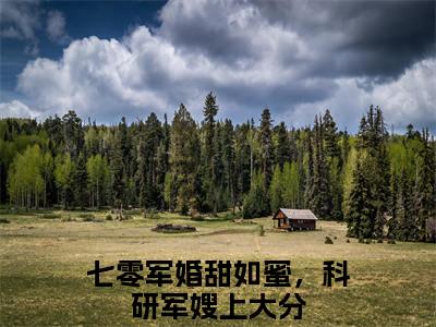闻倾川沈桑榆（七零军婚甜如蜜，科研军嫂上大分）全文免费阅读-（七零军婚甜如蜜，科研军嫂上大分无弹窗阅读）最新章节小说免费阅读
