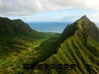 陆卿识龙贝贝（陆卿识龙贝贝）全文免费大结局，陆卿识龙贝贝结局在线阅读