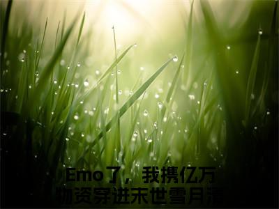 Emo了，我携亿万物资穿进末世雪月清全文免费阅读无弹窗大结局_Emo了，我携亿万物资穿进末世雪月清章节列表_笔趣阁