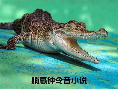 末世：我靠经营安全酒店全文免费阅读无弹窗大结局-躺赢钟令音最新章节列表_笔趣阁（末世：我靠经营安全酒店）