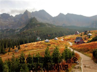 让你兼职卖货，你全上交国家（林恒严磊）全文免费阅读无弹窗_让你兼职卖货，你全上交国家小说免费阅读_笔趣阁