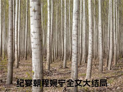 纪宴朝程婉宁热门小说（纪宴朝程婉宁）最新章节阅读-纪宴朝程婉宁小说最后结局如何