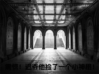 热文震惊！迟爷他捡了一个小神棍！小说全文阅读_林枫迟砚舟（震惊！迟爷他捡了一个小神棍！）全文免费阅读最新章节列表