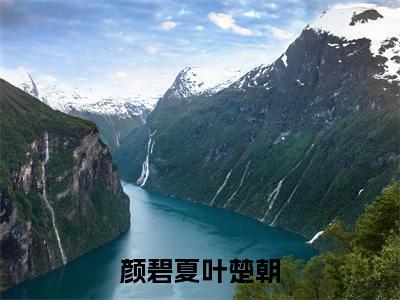颜碧夏叶楚朝全文免费阅读_颜碧夏叶楚朝最新小说_笔趣阁