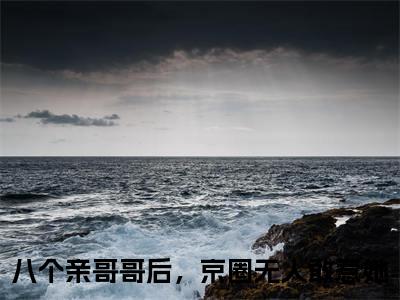 八个亲哥哥后，京圈无人敢惹她小说完整版阅读-小说叶小汐叶以辰全文免费阅读