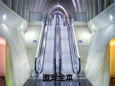 宋时韵（邀宠）全文完整版免费阅读_邀宠宋时韵全文免费阅读