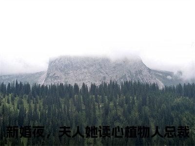 楚辞忧霍庭琛（新婚夜，夫人她读心植物人总裁）全文免费阅读无弹窗大结局_楚辞忧霍庭琛完本小说最新章节阅读