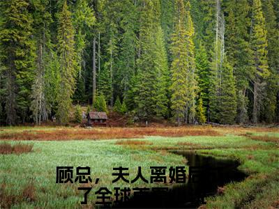 温楠（顾总，夫人离婚后成了全球首富）全文免费阅读无弹窗大结局_温楠最新章节列表-笔趣阁顾总，夫人离婚后成了全球首富
