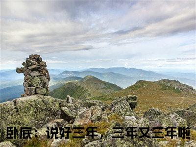 陈宇连理（卧底：说好三年，三年又三年啦）全文免费阅读无弹窗大结局_（卧底：说好三年，三年又三年啦无弹窗）_笔趣阁