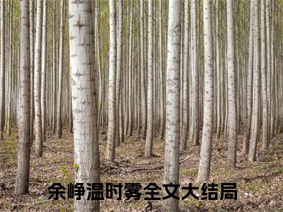 余峥温时雾小说免费阅读（余峥温时雾）全文免费阅读无弹窗大结局_余峥温时雾小说免费阅读最新章节列表_笔趣阁（余峥温时雾）