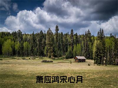 萧应鸿宋心月（萧应鸿宋心月）全文免费阅读无弹窗大结局_萧应鸿宋心月最新章节列表笔趣阁