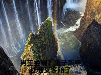 兰珂王林全文免费阅读无弹窗大结局_（兰珂王林）男主绝嗣？生子系统让我又多胎了最新章节列表_笔趣阁