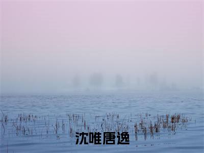 沈唯唐逸在线阅读（沈唯唐逸）全文免费阅读大结局_沈唯唐逸免费最新章节列表_笔趣阁