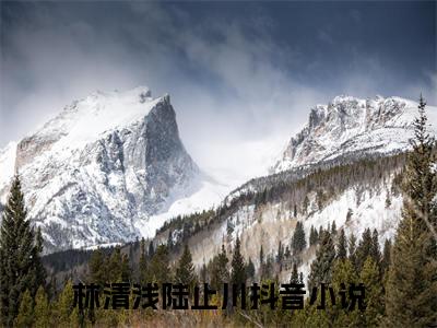 林清浅陆止川(林清浅陆止川)全文免费阅读无弹窗大结局_林清浅陆止川(林清浅陆止川小说全文大结局)全章节免费在线阅读（林清浅陆止川）
