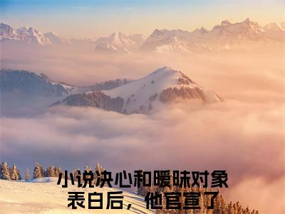 【新书】《决心和暧昧对象表白后，他官宣了》全文免费阅读无弹窗大结局-程楚骁沈知念全文全章节免费阅读