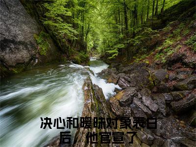 程楚骁沈知念（决心和暧昧对象表白后，他官宣了）全文完整版免费阅读-主角叫决心和暧昧对象表白后，他官宣了的小说程楚骁沈知念