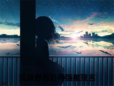 沈战野苏云舟（沈战野苏云舟）全文免费阅读无弹窗大结局_（沈战野苏云舟）最新章节列表笔趣阁