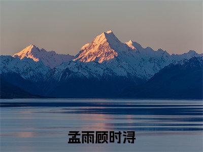 孟雨顾时浔精彩章节免费阅读-孟雨顾时浔小说完整版