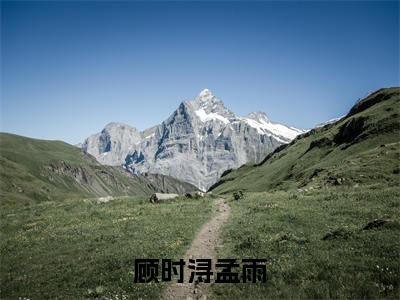 （顾时浔孟雨）是什么小说-顾时浔孟雨全文免费阅读无弹窗大结局（顾时浔孟雨）最新章节列表_笔趣阁
