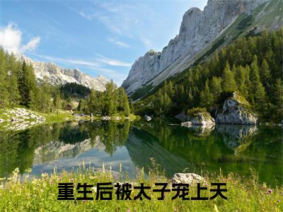 沈素心赵君衍（重生后被太子宠上天）最新热门小说榜单推荐-沈素心赵君衍最新章节免费阅读