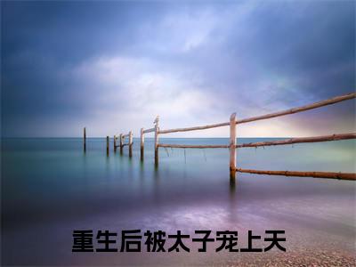 重生后被太子宠上天（沈素心赵君衍）全文免费阅读_重生后被太子宠上天全文阅读_笔趣阁（沈素心赵君衍）