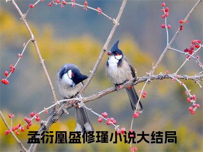 主角叫孟衍凰盛修瑾的小说-《孟衍凰盛修瑾》孟衍凰盛修瑾最新章节在线阅读