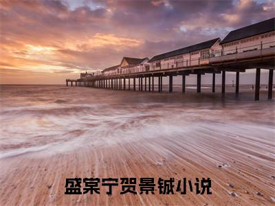 盛棠宁贺景铖(盛棠宁贺景铖)小说全文小说免费阅读_盛棠宁贺景铖最新章节列表笔趣阁