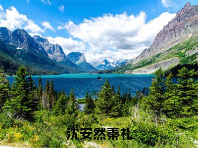 沈安然秦礼小说大结局免费阅读，沈安然秦礼抖音新上热文分享