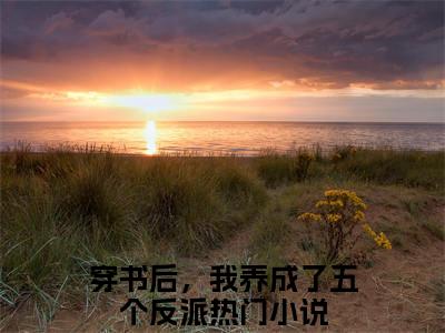 乔连连顾城（穿书后，我养成了五个反派）全文免费阅读无弹窗大结局_乔连连顾城全文阅读完整版_笔趣阁（穿书后，我养成了五个反派）