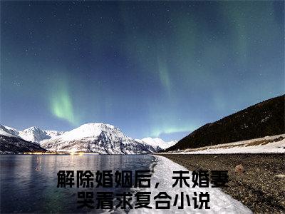 小说解除婚姻后，未婚妻哭着求复合全文免费阅读无弹窗大结局_（赵凛柳如烟）全文在线阅读