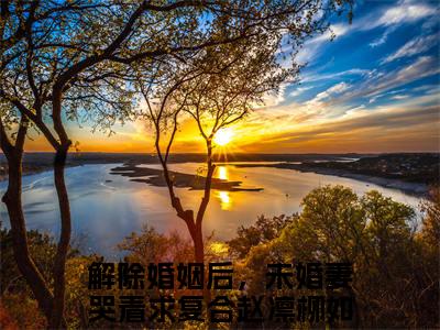 赵凛柳如烟小说（解除婚姻后，未婚妻哭着求复合）全文免费阅读无弹窗大结局_（赵凛柳如烟）解除婚姻后，未婚妻哭着求复合小说免费阅读最新章节列表