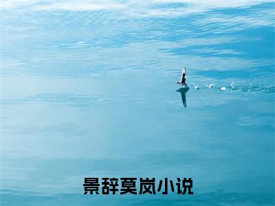 景辞莫岚（景辞莫岚）精彩热门小说无弹窗-景辞莫岚全文免费阅读