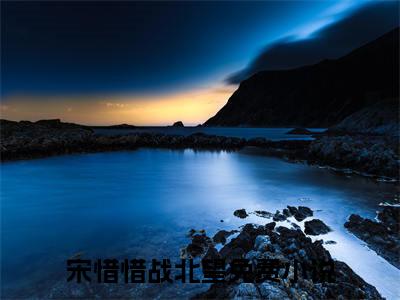 重披铠甲，将军夫人她英姿飒爽（宋惜惜战北望）全文完整版免费阅读-主角叫宋惜惜战北望的小说重披铠甲，将军夫人她英姿飒爽