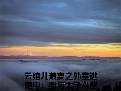 云绾儿萧宴之全文免费阅读无弹窗大结局_（外室逃跑中：我与太子斗智斗勇阅读无弹窗）外室逃跑中：我与太子斗智斗勇最新章节列表