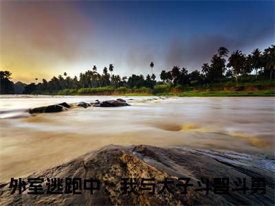 外室逃跑中：我与太子斗智斗勇（云绾儿萧宴之全章节完整版）免费阅读_（外室逃跑中：我与太子斗智斗勇）全文无删减免费阅读（外室逃跑中：我与太子斗智斗勇）