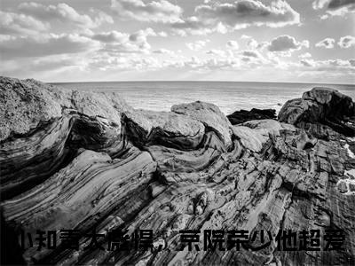 宁媛荣昭南小说（小知青太彪悍，京院荣少他超爱）全文免费阅读无弹窗大结局_宁媛荣昭南小说最新章节列表_笔趣阁