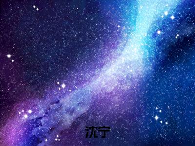 家暴致死，我重生黑化开大（沈宁）全文免费阅读大结局-家暴致死，我重生黑化开大最新章节列表笔趣阁