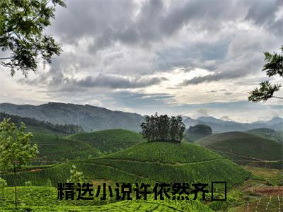 许依然齐瑄免费小说（许依然齐瑄）全文免费阅读无弹窗大结局_许依然齐瑄免费小说最新章节列表_笔趣阁(许依然齐瑄免费小说）