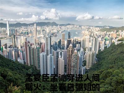 穿进人间烟火：坐看白粥姐的表演（孟宴臣孟沁）全文免费阅读_孟宴臣孟沁（穿进人间烟火：坐看白粥姐的表演）最新章节列表笔趣阁