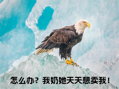 杨晚（怎么办？我奶她天天想卖我！全章节完整版）免费阅读_杨晚（怎么办？我奶她天天想卖我！）最新章节列表笔趣阁