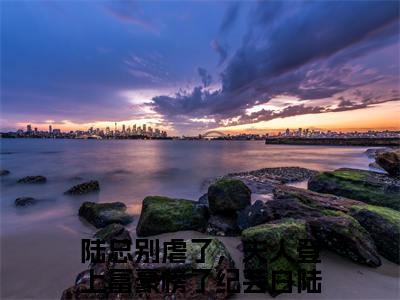 陆总别虐了，夫人登上富豪榜了全本资源免费阅读结局无删节主角：纪芸白陆远洲小说全文阅读无弹窗