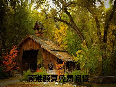顾淮颜夏小说最新章节（顾淮颜夏）全文免费阅读无弹窗大结局_顾淮颜夏免费阅读（顾淮颜夏小说）