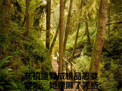 林初渔（穿成极品恶婆婆后，她赚麻了小说）全文免费阅读无弹窗大结局_林初渔最新章节