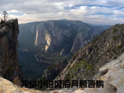 主角为盛海月顾晋鹏的小说全文完整版阅读